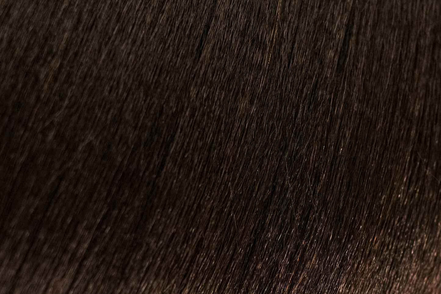Kinky Straight Premium Hair Extensions